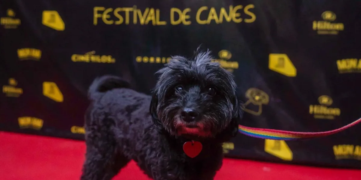 Vuelve el Festival de Canes llega su segunda edición de cine y