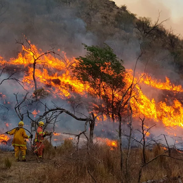 Incendios en Córdoba: toda la provincia está bajo alerta extrema