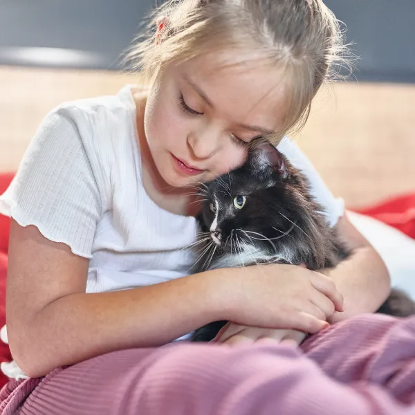 Día Internacional del Animal sin Hogar: las cifras a tener en cuenta