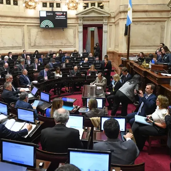 Sesión en el Senado: detrás de la polémica por las dietas, el Gobierno afronta otra jornada clave