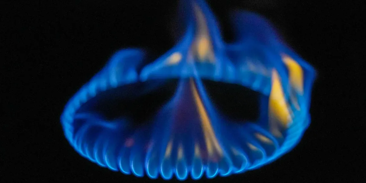 Oficializan las subas de las tarifas de gas y luz | Filo News