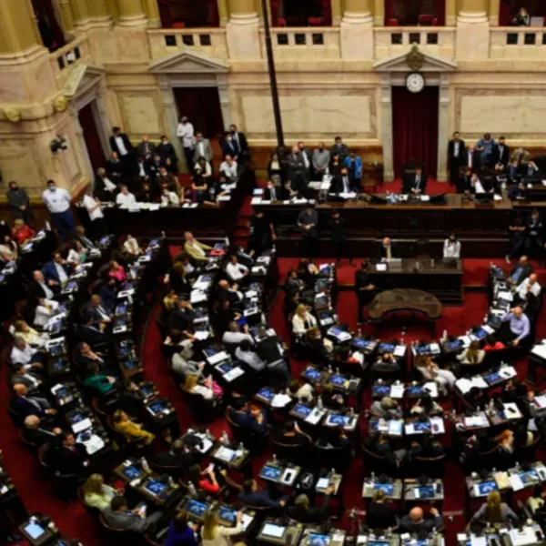 Suspensión de las PASO: los diputados definirán si apoyan la reforma electoral propuesta por el gobierno nacional