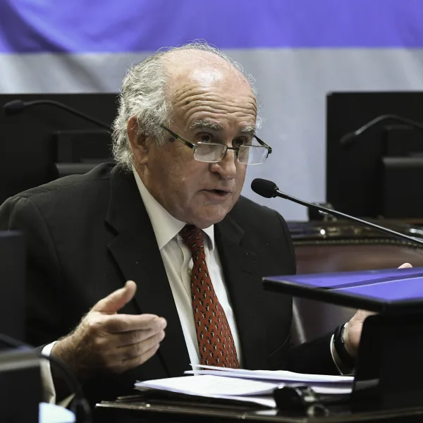 Parrili tras el rechazo al pliego de García-Mansilla: "El Senado le puso un límite a Milei"