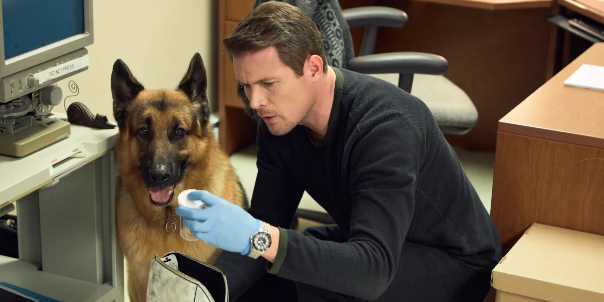 Hudson & Rex regresan con una nueva temporada | Filo News