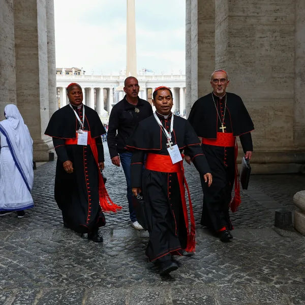 Los 133 cardenales electores ya están en Roma: qué esperan del nuevo Papa