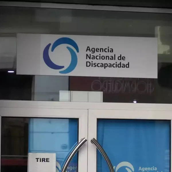 El Gobierno suspendió más de 80 mil pensiones por invalidez laboral