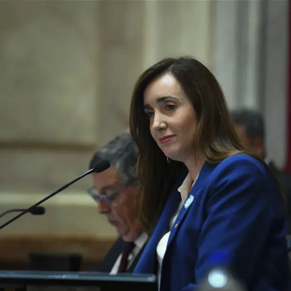 Villarruel cierra el jardín infantes del Senado que había inaugurado Boudou