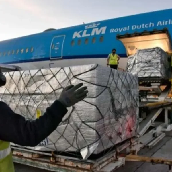 El Gobierno inició el proceso de privatización de Intercargo