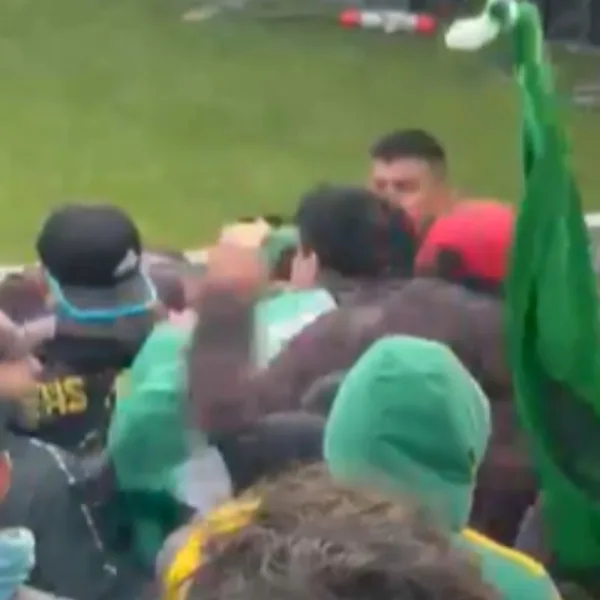 Sancionaron a tres barras de Aldosivi por los graves incidentes en el estadio José María Minella
