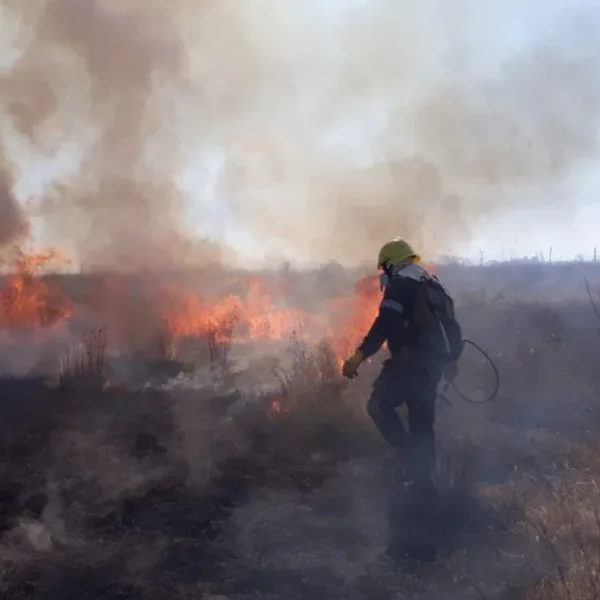 Salta: en las últimas 24 horas registraron 14 focos de incendios de pastizales