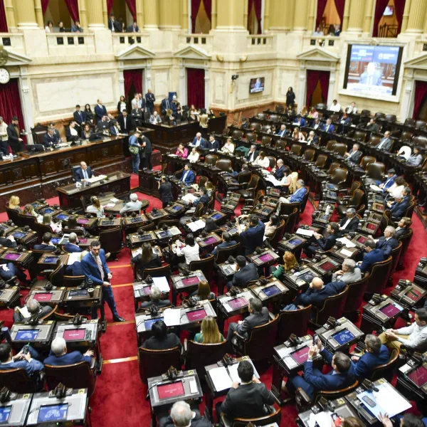 Hospital Garrahan, universidades y DNU: los temas que propone la oposición en Diputados