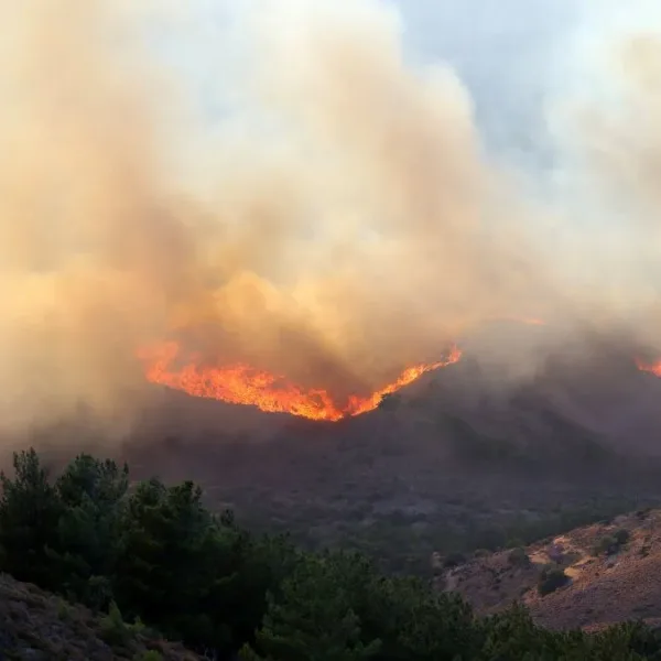 Europa bajo ola de calor: Grecia registró más de 150 incendios en 24 horas y hay miles de personas evacuadas