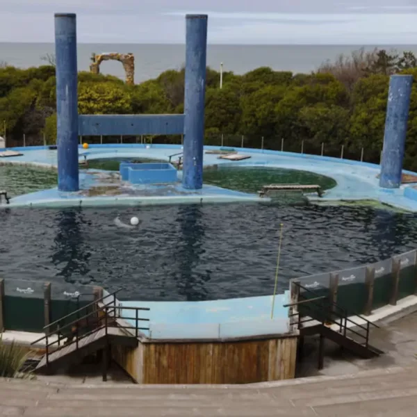 Montenegro denunció penalmente a los dueños de Aquarium Mar del Plata por maltrato animal
