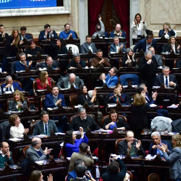 Diputados rechazó el veto de Milei la ley de emergencia en Discapacidad