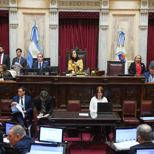 El Senado convirtió en ley la emergencia en pediatría y el financiamiento para universidades