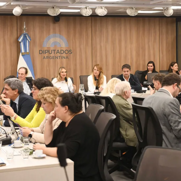 La oposición llevó el caso ANDIS a un plenario de comisiones en Diputados