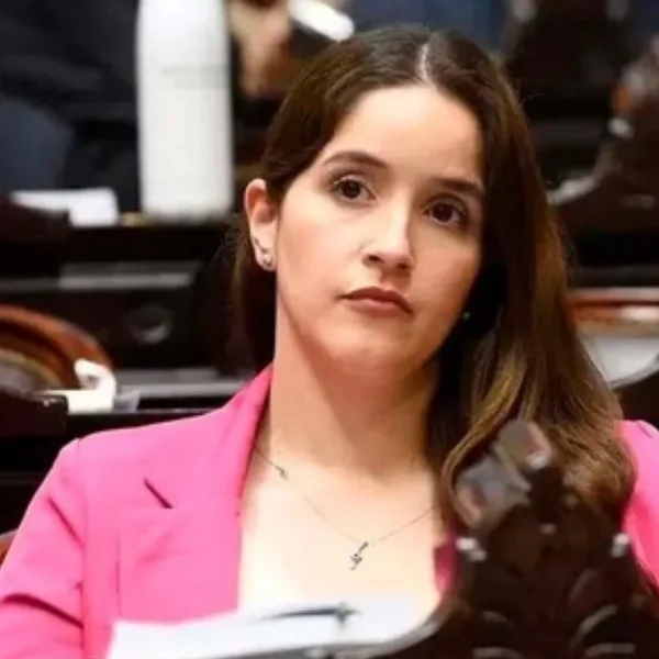 Se accidentó una diputada libertaria y su padre apuntó a Menem por la condición de los choferes