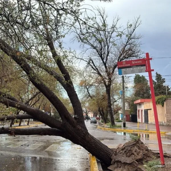 Santa Rosa: en Mendoza ya hay 100 evacuados y comenzaron las lluvias en AMBA
