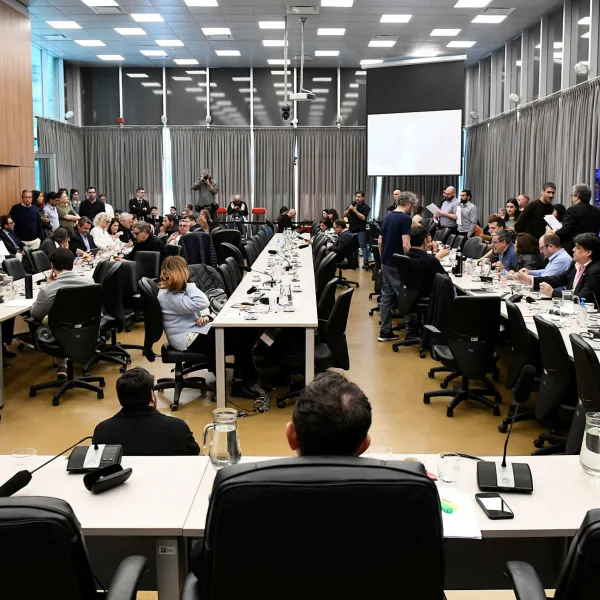 Avanza en el Congreso la investigación por coimas en Discapacidad y el caso $LIBRA