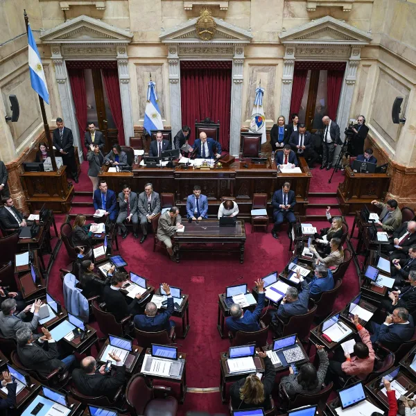 Qué dice el proyecto que modifica la ley de DNU y obtuvo la media sanción del Senado