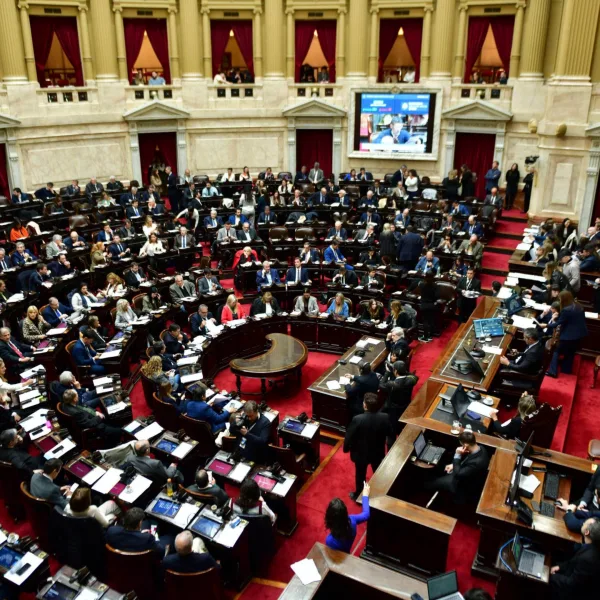 La oposición convoca a sesión especial en Diputados para revertir vetos presidenciales