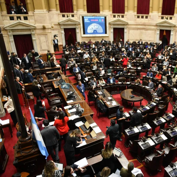 Diptuados rechazó los vetos a la emergencia pediátrica y al financiamiento de las universidades públicas
