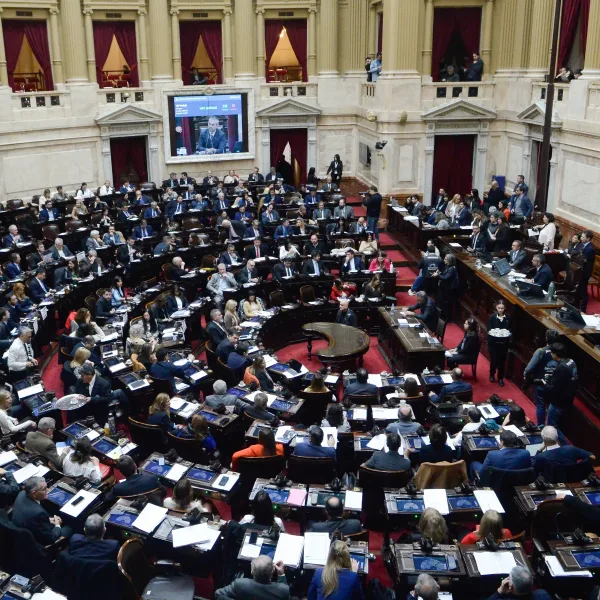 La oposición en Diputados intentará revertir los vetos de Milei a las leyes Garrahan y de Financiamiento Universitario