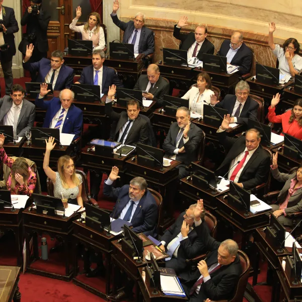 El Senado aprobó la “Ley Nicolás” para mejorar la atención de pacientes