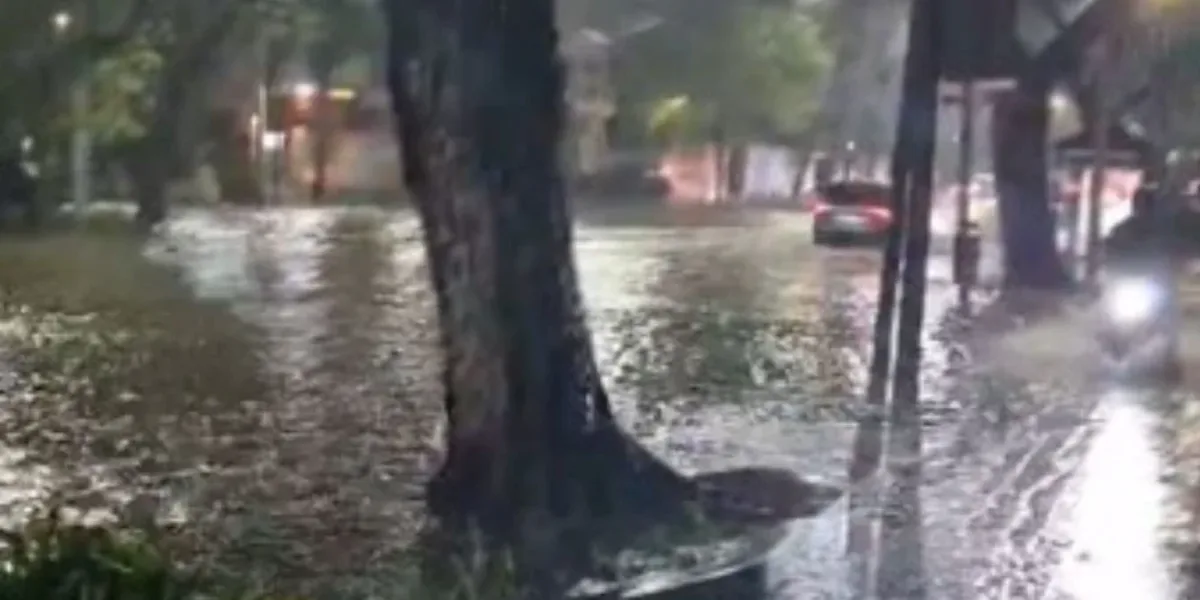 Temporal en el AMBA: lluvias, cortes de luz y árboles caídos en la ...