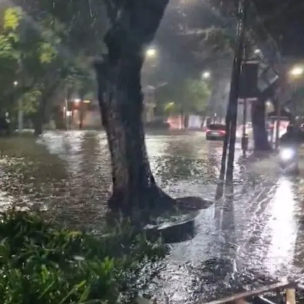 Temporal en el AMBA: lluvias, cortes de luz y árboles caídos en la noche previa a la primavera