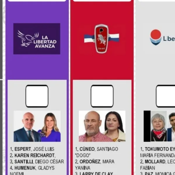 La Libertad Avanza pedirá la reimpresión de las boletas