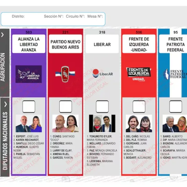 Reimprimir las boletas de la Provincia de Buenos Aires cuesta 12.100 millones de pesos