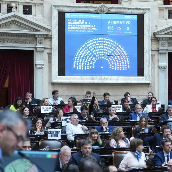 El Gobierno promulgó las leyes de financiamiento universitario y emergencia pediátrica, pero postergó su aplicación 