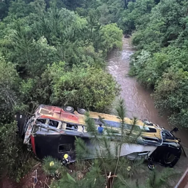 Un micro chocó contra un auto y cayó desde un puente en Misiones: hay al menos nueve muertos