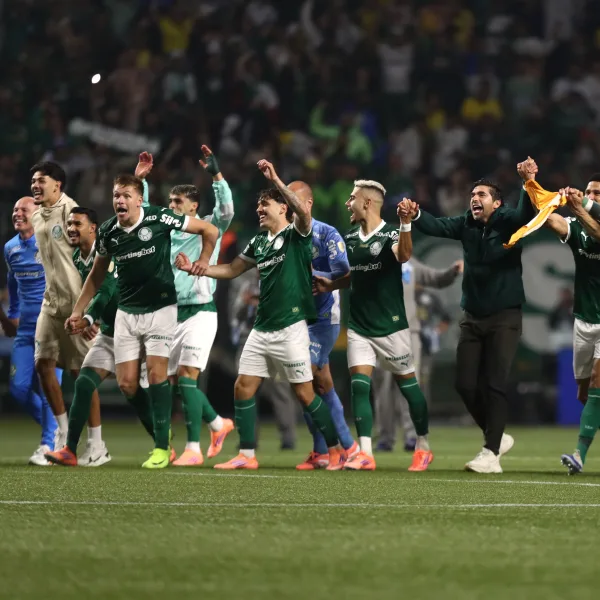 Copa Libertadores: Palmeiras logró la remontada y habrá final brasileña ante Flamengo