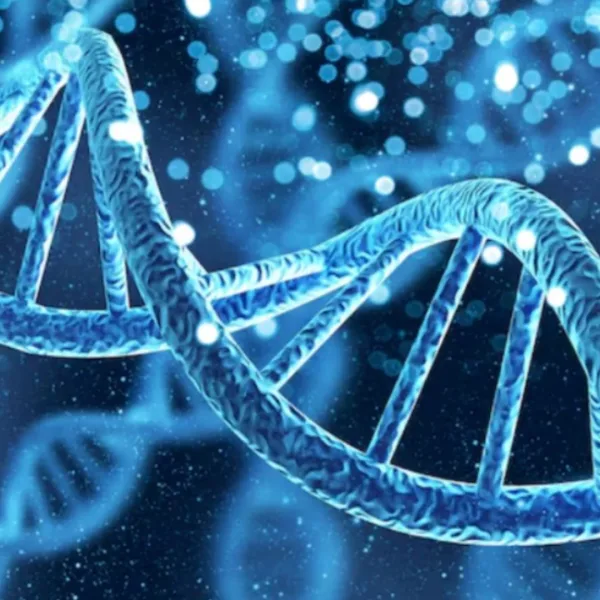 Gen argentino: Descubren un linaje único de hace 8.500 años