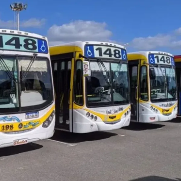 Paro de colectivos en zona Sur: nueve líneas no prestan servicio