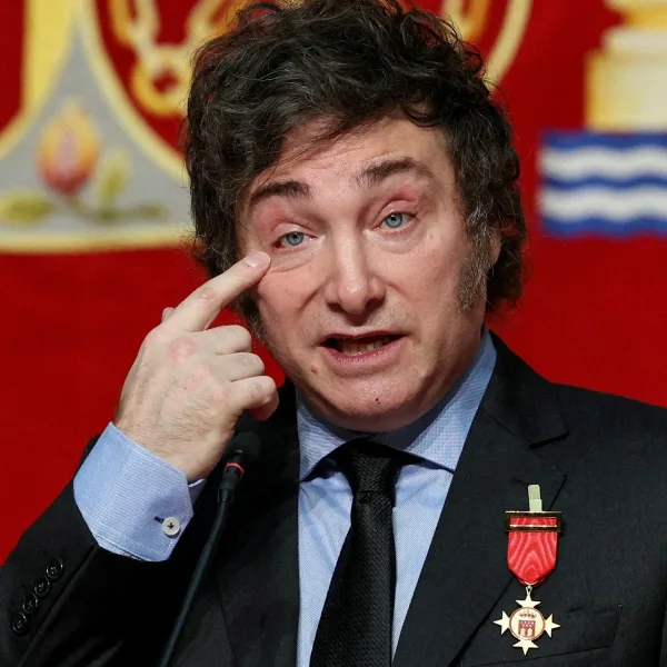 La OCDE advirtió que el modelo de Milei podría debilitar la industria argentina