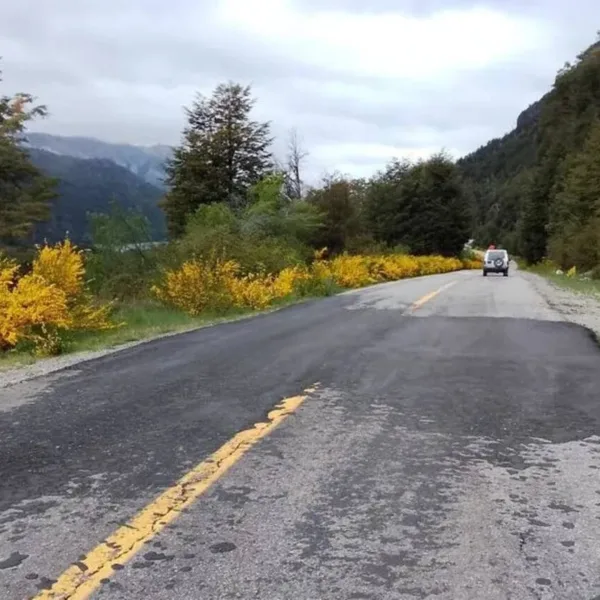 La Justicia ordenó a Vialidad Nacional hacer reparaciones de "urgencia" en la Ruta 40