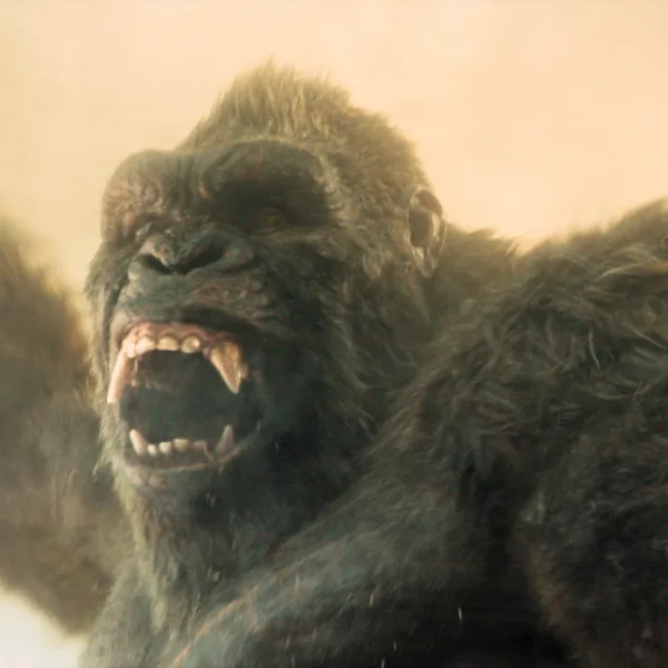 "Monarch: Legado de monstruos": anuncian la fecha de estreno de la segunda temporada