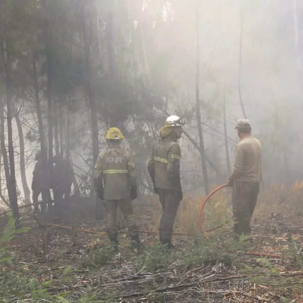 Incendios en la Patagonia: se registran focos en Epuyén, El Bolsón y otros puntos de la región