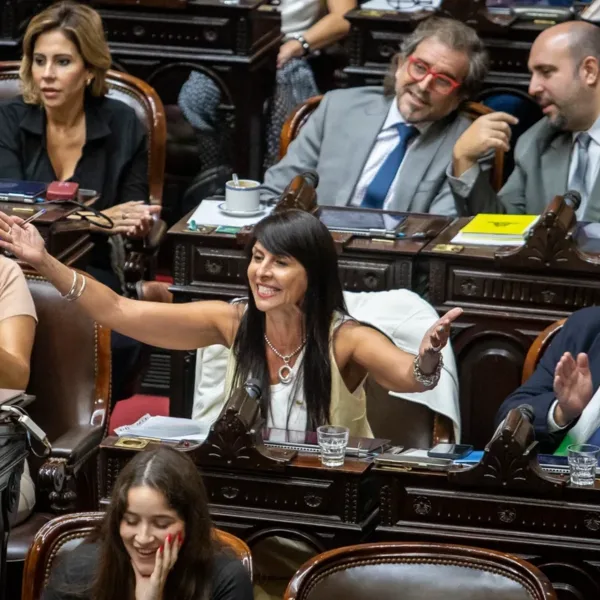 El oficialismo y la oposición cruzan acusaciones para impedir la asunción de senadores electos