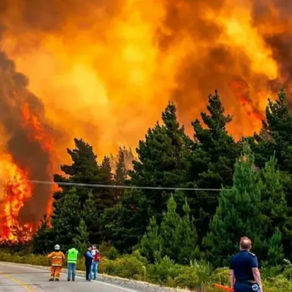 Incendio contenido en Epuyén: hay más de 200 hectáreas afectadas