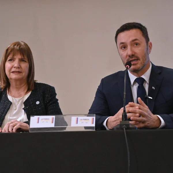 Milei designó a los reemplazos de Bullrich y Petri  