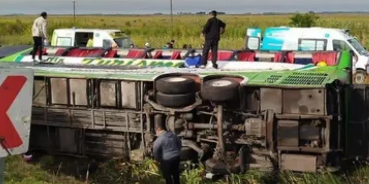 Volcó un micro en la Ruta 2: hay dos muertos y dos heridos graves ...