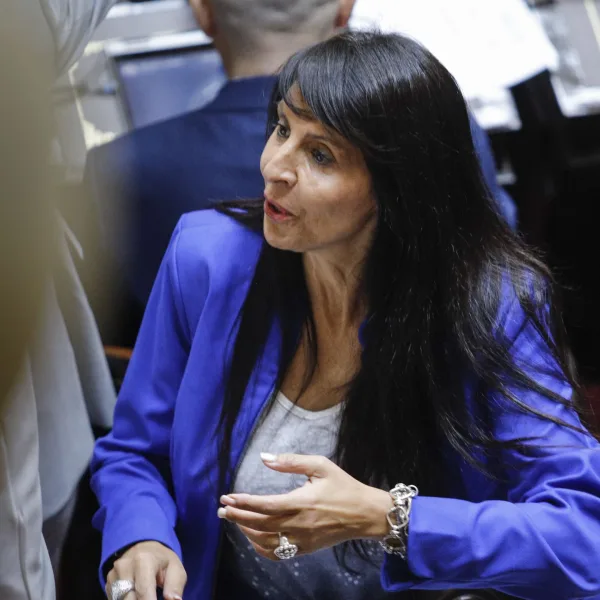 Villaverde renunció a la banca en el Senado y seguirá en Diputados