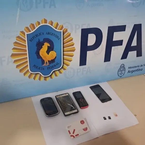 Realizaron 117 allanamientos por grooming, ciberpedofilia y abuso sexual infantil