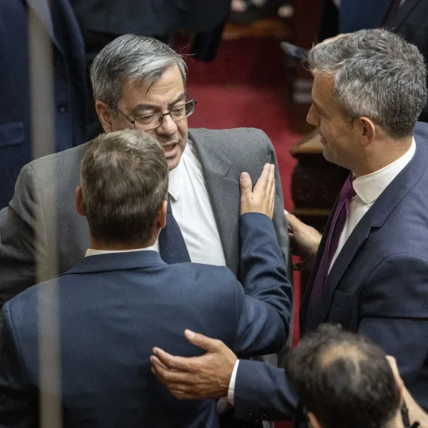 Cómo quedó configurada la Cámara de Diputados