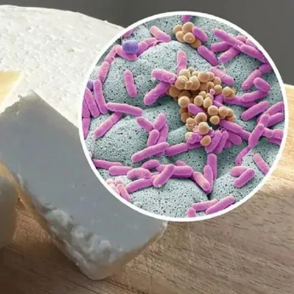 Detectaron una bacteria peligrosa en un lote de queso cremoso de consumo masivo
