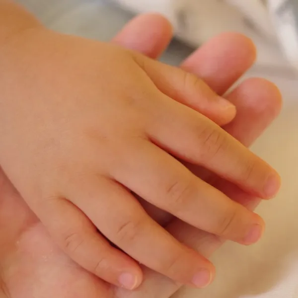 La canasta de crianza volvió a aumentar: cuánto se necesitó para criar en noviembre